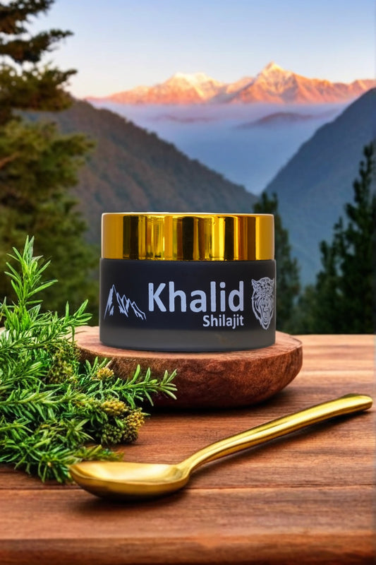 Pure Himalayan Shilajit Resin – Natural Energy Booster, Immunity Support & Vitality Enhancer | Authentic, Lab-Tested, Mineral-Rich - imane Habibi
