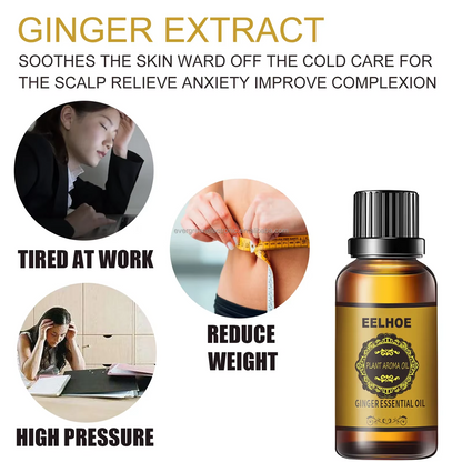 EELHOE Belly Drainage Ginger Oil - Massage Oil for Arms, Thighs, and Stomach