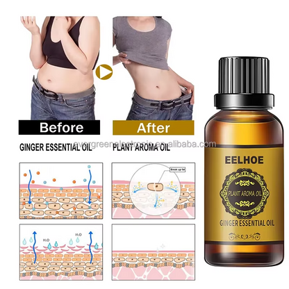 EELHOE Belly Drainage Ginger Oil - Massage Oil for Arms, Thighs, and Stomach